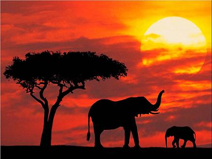 De safari por Kenya 1