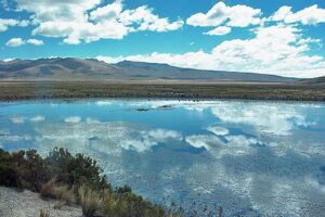 La Reserva Nacional de Salinas y Aguada Blanca 3