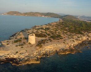 El Parque Natural de ses Salines d'Eivissa 4
