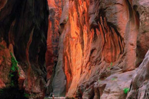 Parque Nacional de Zion en Utah, un destino ineludible 10