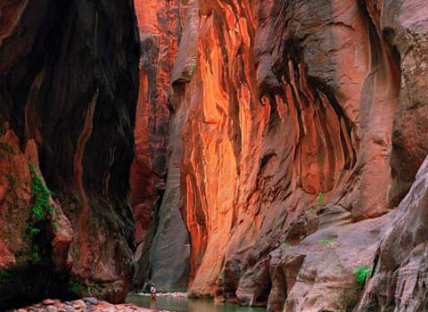 Parque Nacional de Zion en Utah, un destino ineludible 1