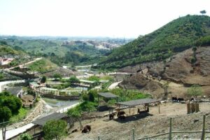 Parques de animales en la Costa del Sol 3