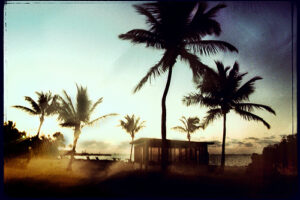 Miami, ciudad cosmopolita 6