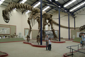 Museos de Dinosaurios en la Patagonia 10