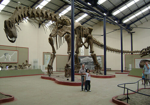 Museos de Dinosaurios en la Patagonia 6