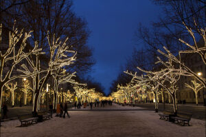 Unter den Linden, avenida principal de Berlín 6