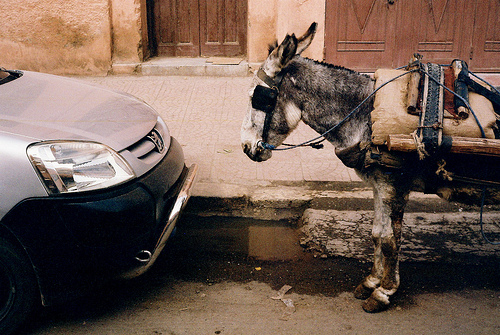 transporte en Marrakech