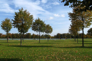 Hyde Park de Londres 11