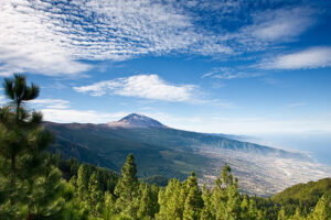 El Parque Nacional del Teide en Tenerife 7