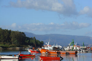 A Illa de Arousa, paraíso del mariscador 1