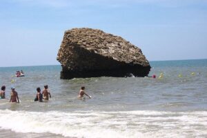 Matalascañas, un buen destino 14