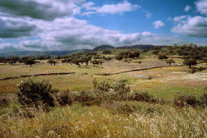 Comarca de la Sierra en Huelva 6