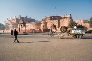 Bikaner, la ciudad de los camellos en la India 13