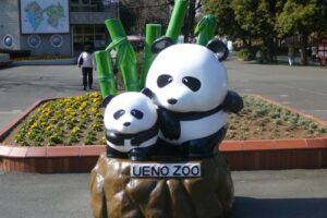 El Zoo de Ueno en Tokio 8