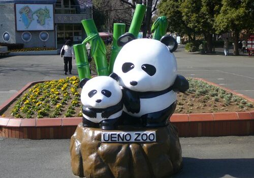 El Zoo de Ueno en Tokio 14
