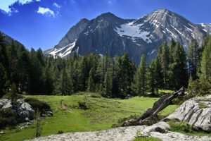 Pirineo Aragonés, mucho que ver 1