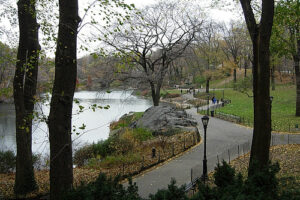 Paseo por Central Park en Nueva York 15
