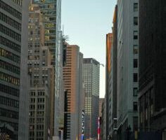Cultura en Nueva York 19
