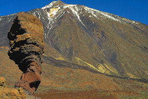 Camellos en las islas canarias 9