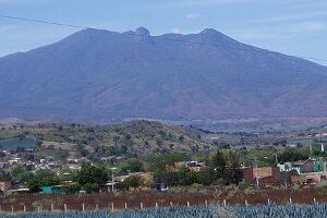 De museos y tequilas en Guadalajara 11