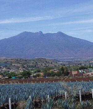 De museos y tequilas en Guadalajara 5