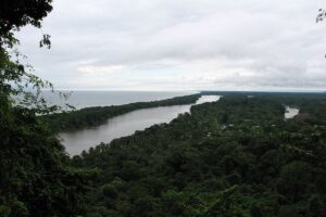 Parque Nacional Tortuguero en Costa Rica 3