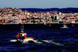 Vigo