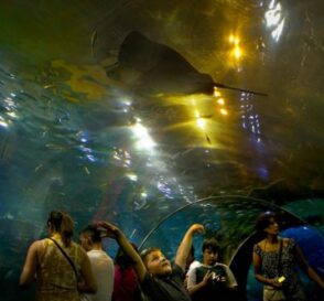 Visita el Aquarium de Donostia en San Sebastián 7