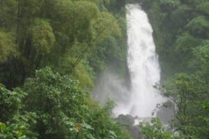 Dominica, la isla de la naturaleza en el Caribe 5