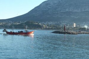 Un paseo por una Denia diferente 1
