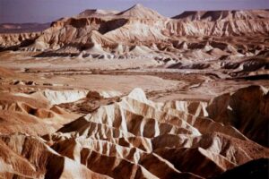 El Desierto de Negev en Israel 15