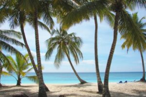 Playas y diversión en Punta Cana 7
