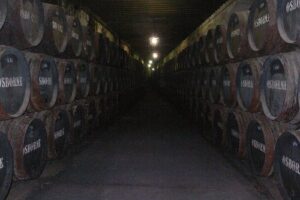Una ruta diferente en Puerto de Santa María 12