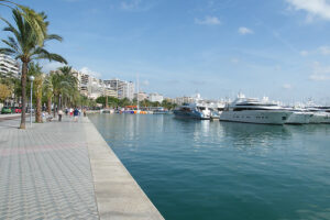 Placeres y relax en Palma de Mallorca 15