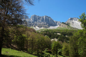 Excursión a los pirineos aragoneses 19