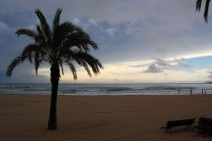 Alicante