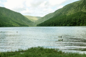 Glendalough, uno de los lugares más bonitos de Irlanda 19