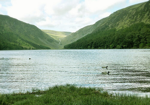 Glendalough, uno de los lugares más bonitos de Irlanda 3