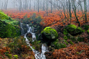 El Valle del Jerte, paisajes y gastronomía 15