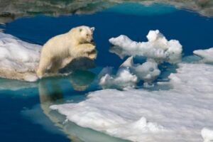 Svalbard, turismo de nieve y aventura en Noruega 17