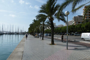 Palma de Mallorca, ideal para todo el año 11