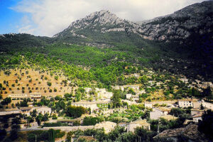 Naturaleza en la isla de Mallorca 15