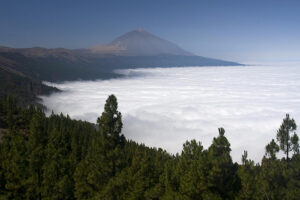 El Parque del Teide 1