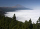 El Parque del Teide 31