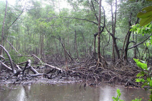 Naturaleza en República Dominicana 15