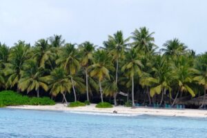 Isla Saona