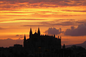 La catedral de Palma de Mallorca 14