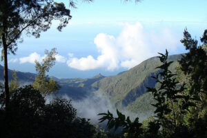 Caracas también tiene espacios verdes 2