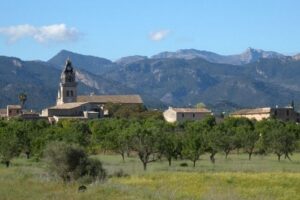 Santa Maria del Cami