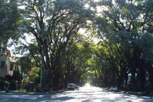 Belgrano, barrio desconocido de Buenos Aires 5